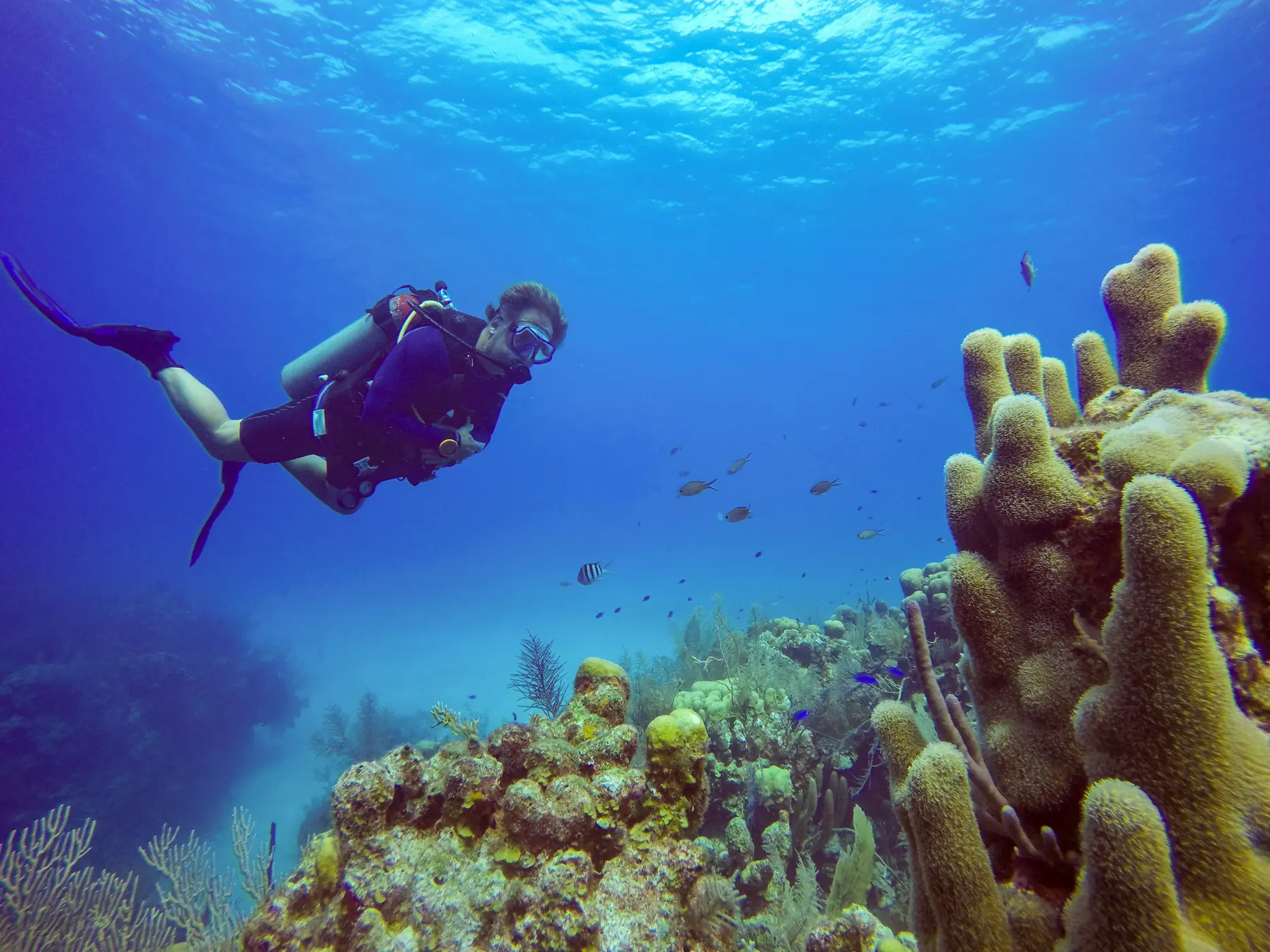 Scuba diver exploring a Belize reef